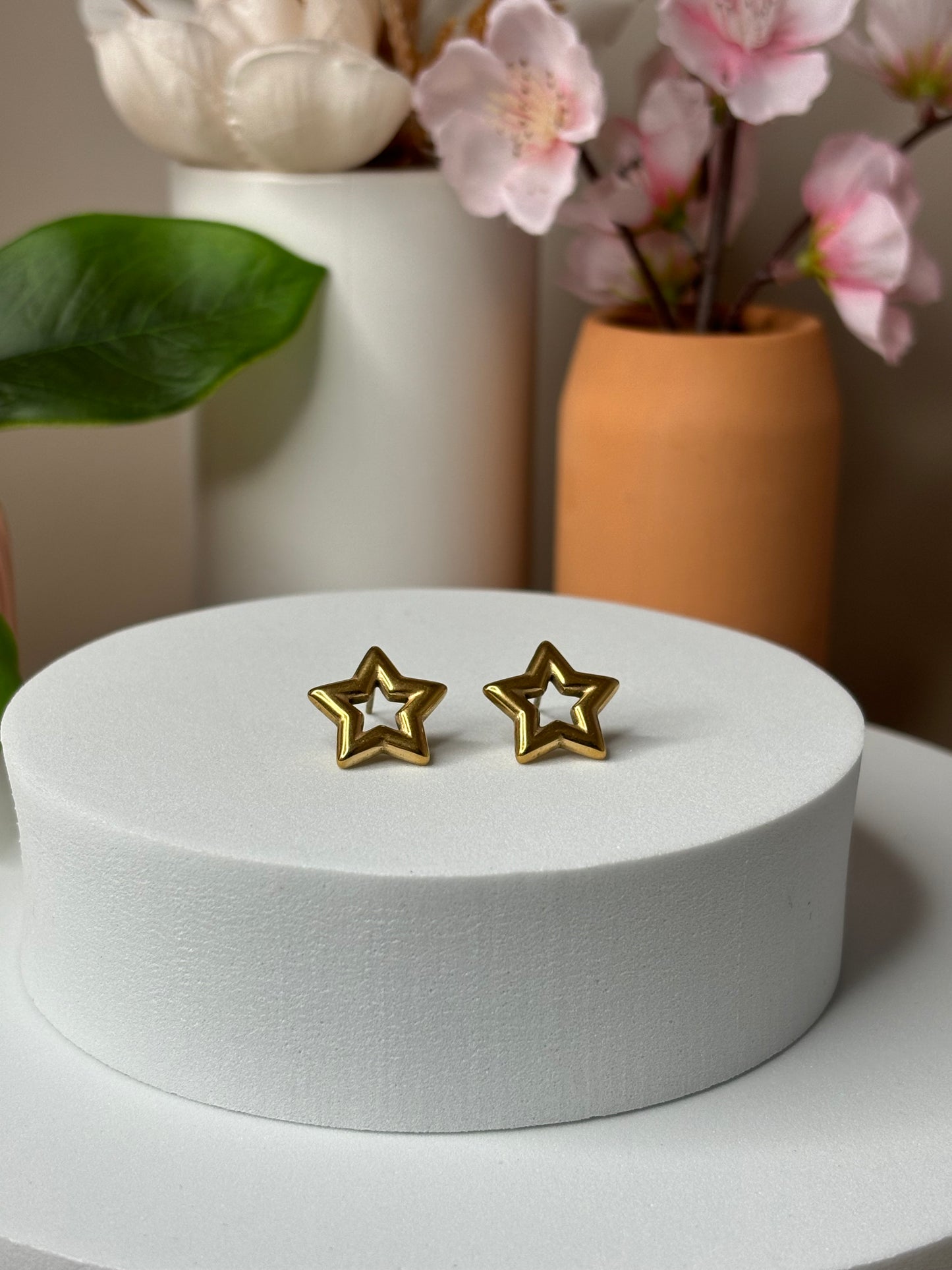 You are the Star Earrings - Stainless Steel - Stud - Silver