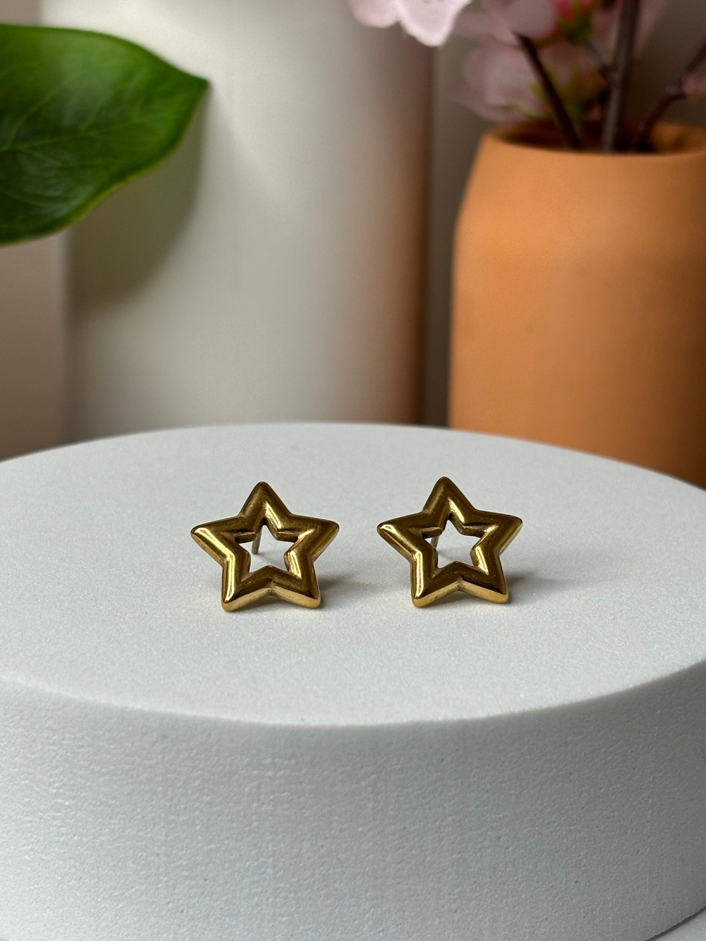 You are the Star Earrings - Stainless Steel - Stud - Silver
