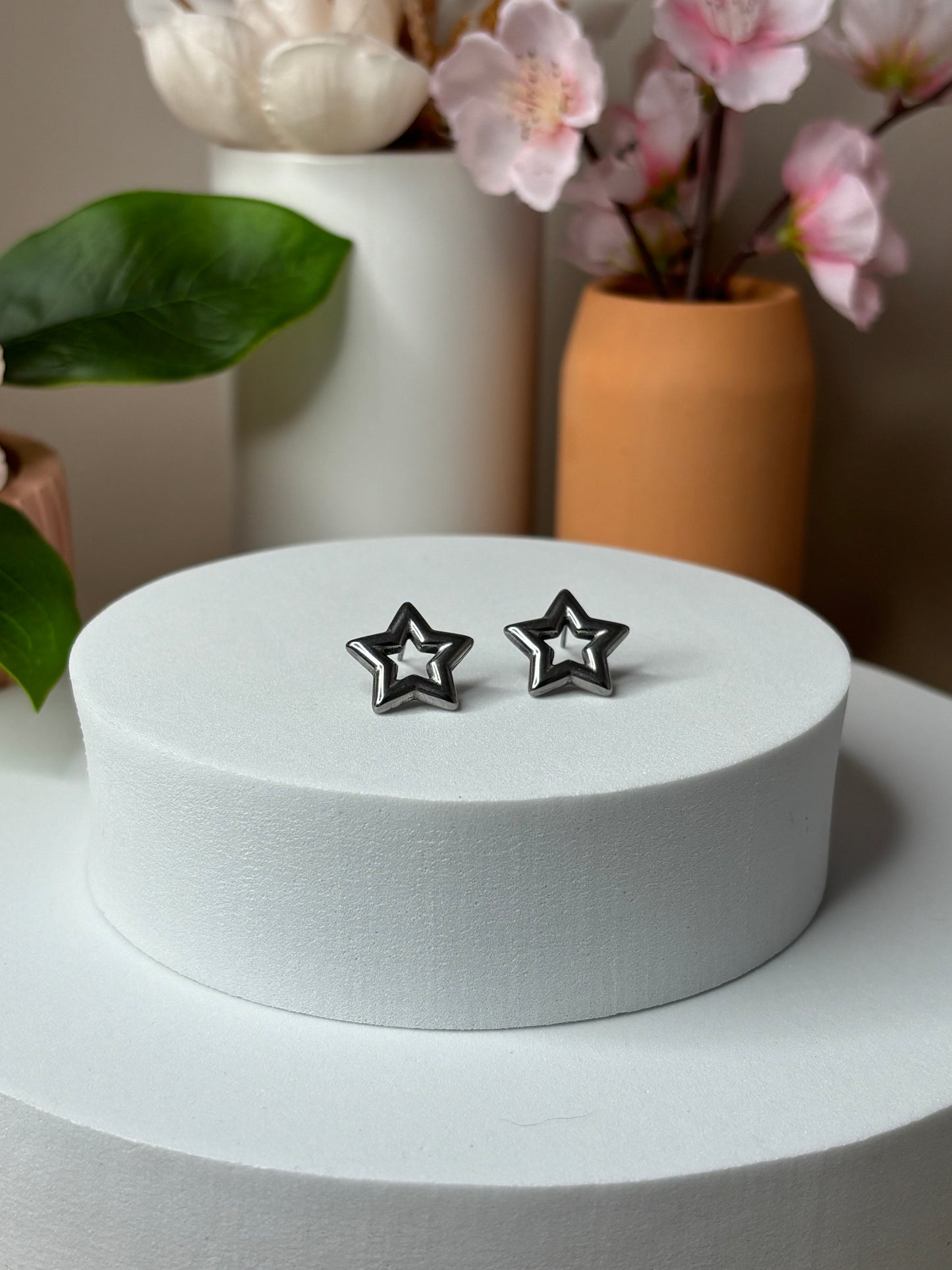 You are the Star Earrings - Stainless Steel - Stud - Silver