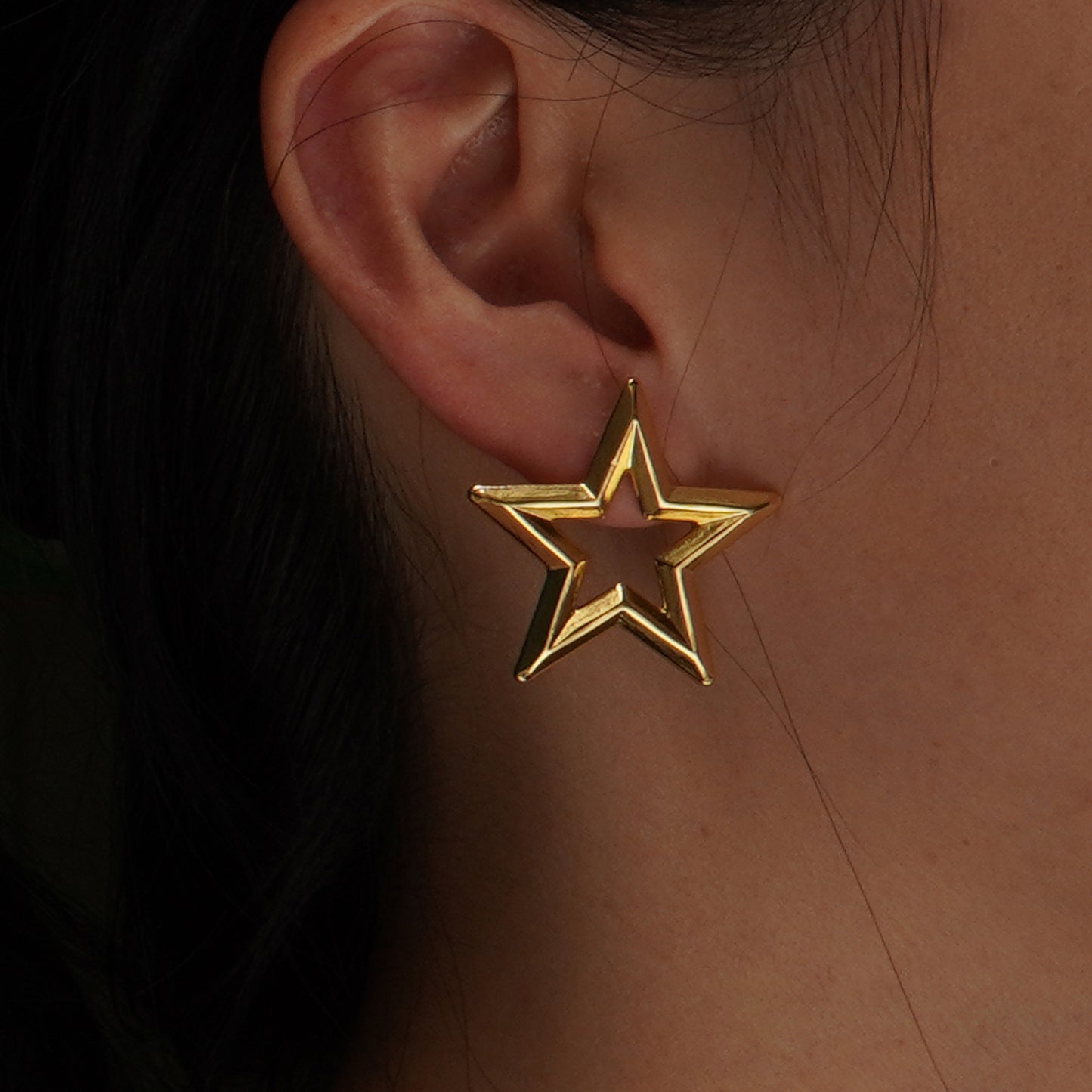 You are the Star Earrings - Gold and Silver - Star Shape - Stainless Steel
