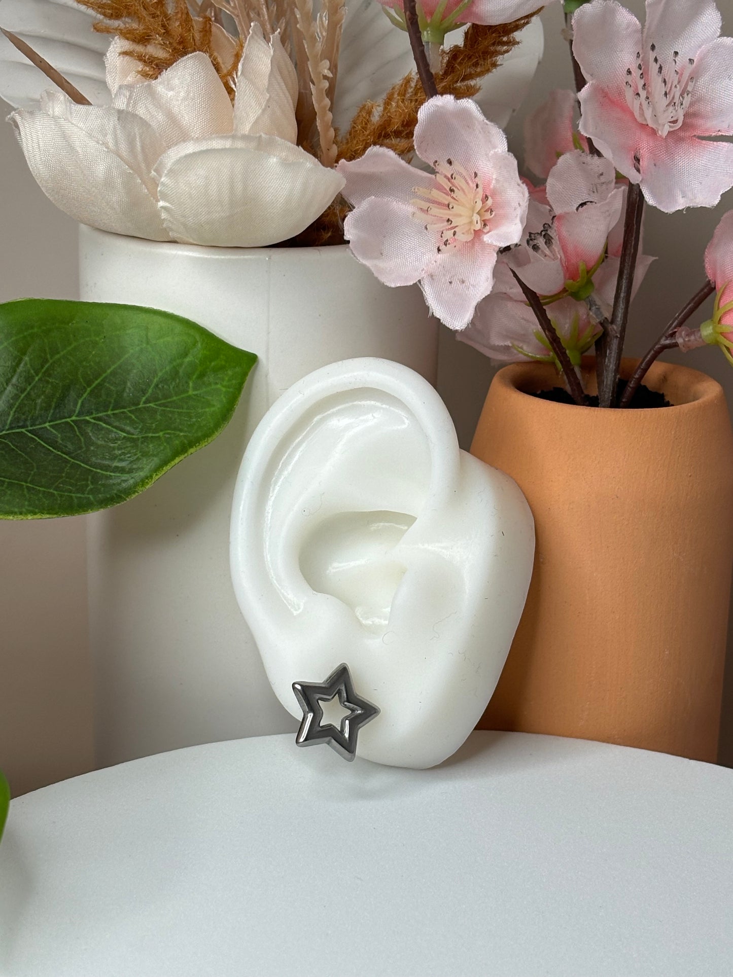 You are the Star Earrings - Stainless Steel - Stud - Silver